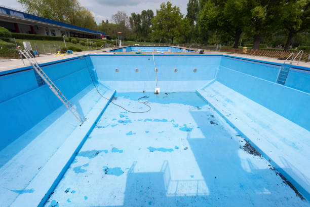 Best Water damage cleanup near me  in Saint Davids, PA