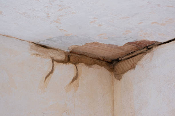 Best Carpet water damage restoration  in Saint Davids, PA