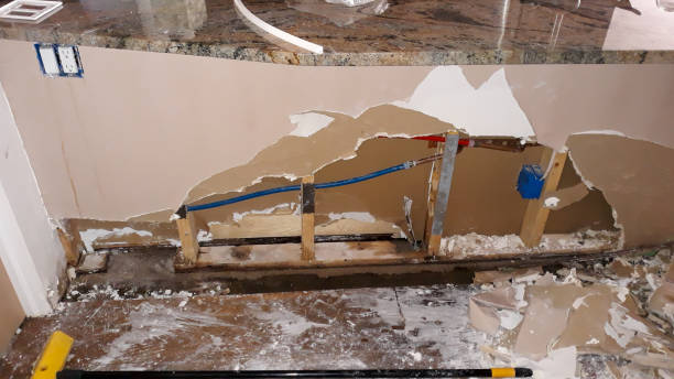 Best Water damage restoration mold remediation  in Saint Davids, PA