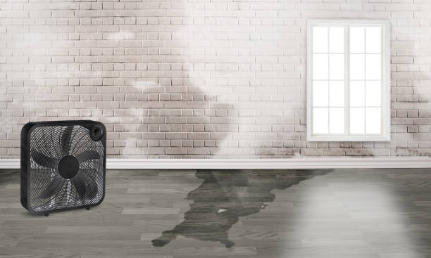 Reliable Saint Davids, PA Water damage restoration Solutions