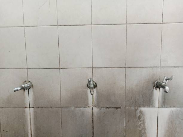Trusted Saint Davids, PA Water damage restoration Experts