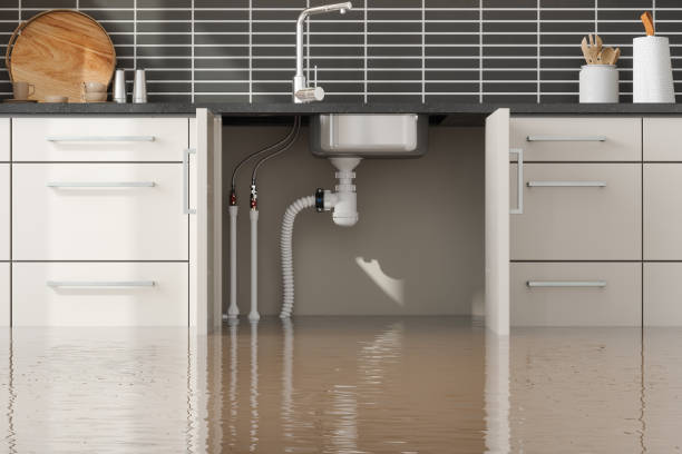 Best Emergency water extraction  in Saint Davids, PA