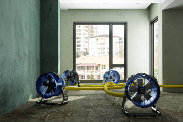 Best Flood restoration services  in Saint Davids, PA